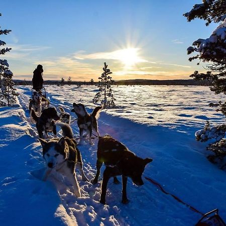 Birk Husky - guesthouse&cabins Svanvik Eksteriør billede