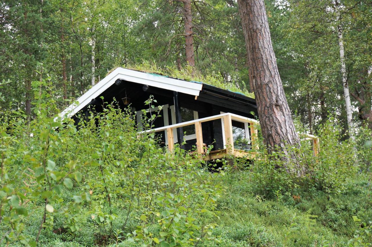 Birk Husky - guesthouse&cabins Svanvik Eksteriør billede