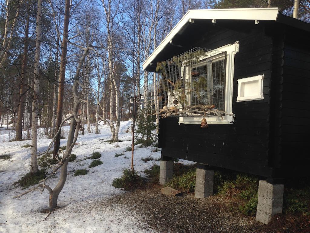 Birk Husky - guesthouse&cabins Svanvik Eksteriør billede