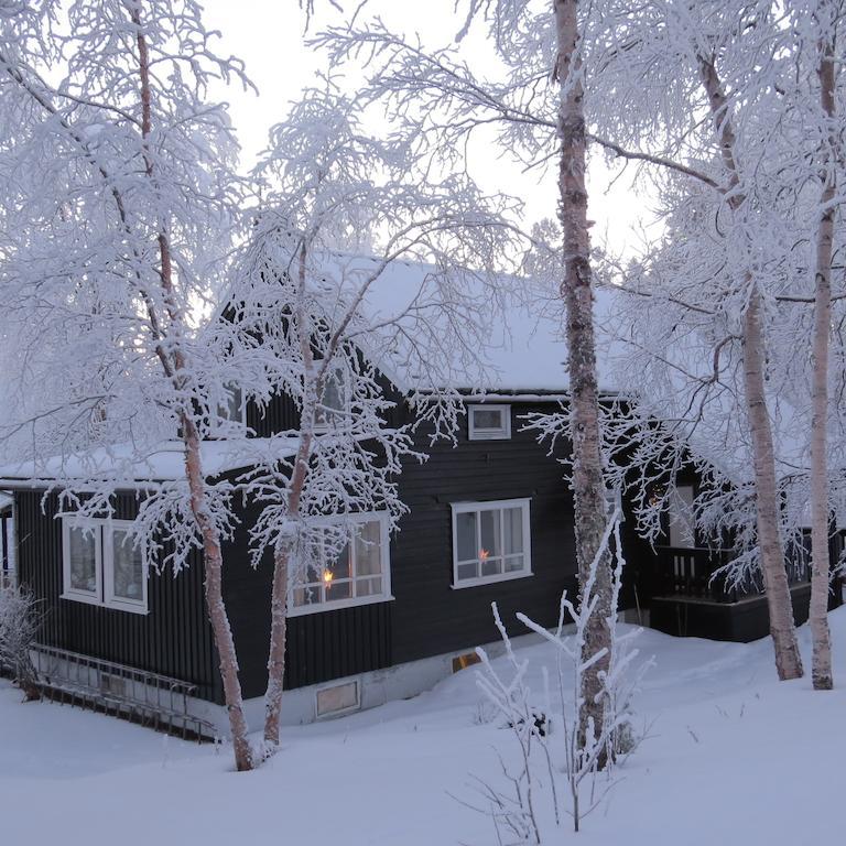 Birk Husky - guesthouse&cabins Svanvik Eksteriør billede