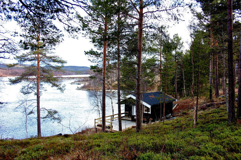 Birk Husky - guesthouse&cabins Svanvik Eksteriør billede