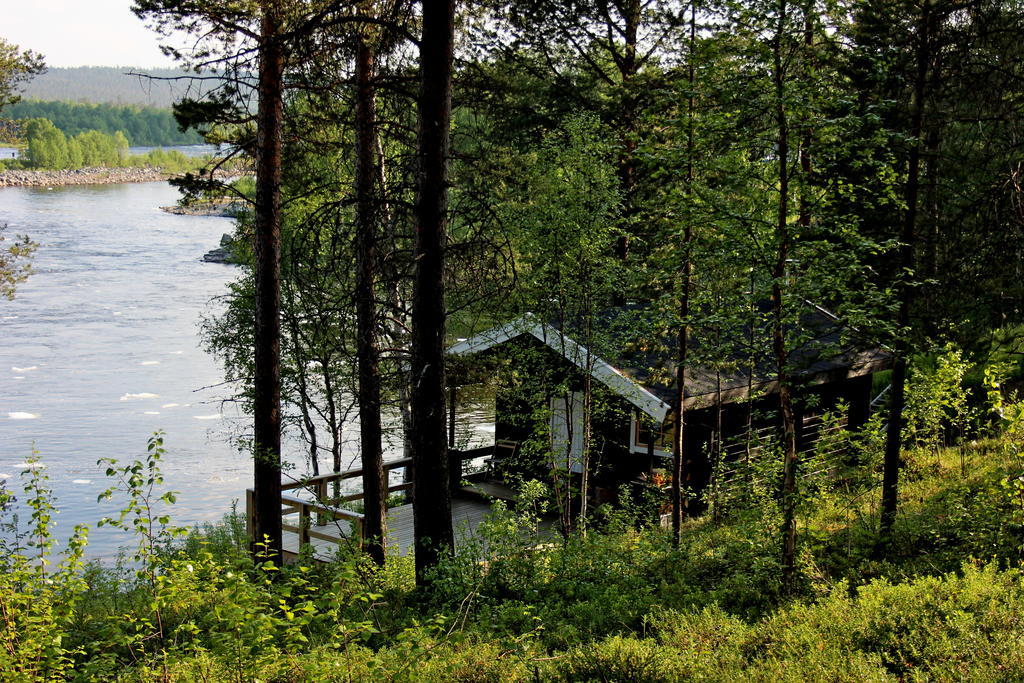 Birk Husky - guesthouse&cabins Svanvik Eksteriør billede