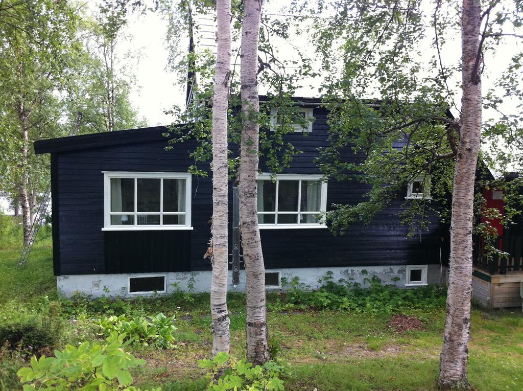 Birk Husky - guesthouse&cabins Svanvik Eksteriør billede