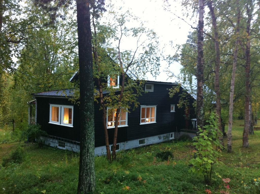 Birk Husky - guesthouse&cabins Svanvik Værelse billede
